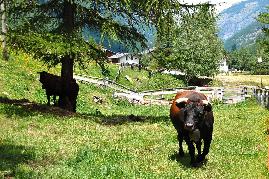 Ferienwohnung Allalinblick Saas-Fee Bagian luar foto